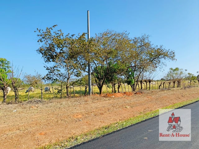 Land for Sale in Los Santos Los Santos 06065